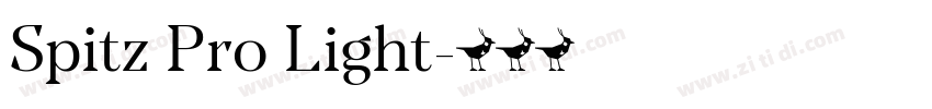 Spitz Pro Light字体转换 Spitz Pro Light字体转换